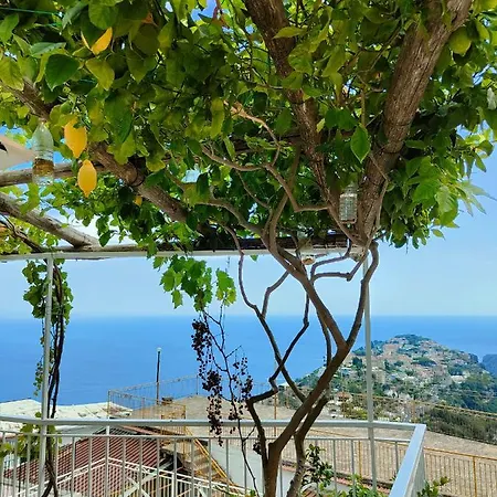 Casa Panorama 펜션